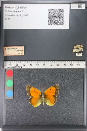 Media type: image;   Entomology 125405